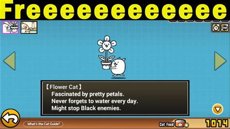 flower cat battle cats|how to get flower cat in battle cats.